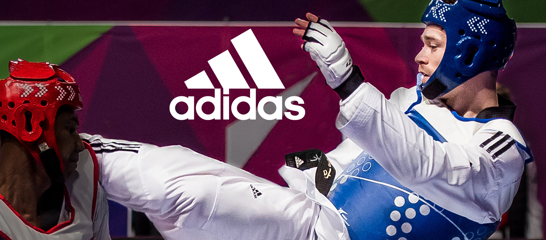 Taekwondo banner C 1900x835