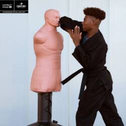 BOB XL - Image 6